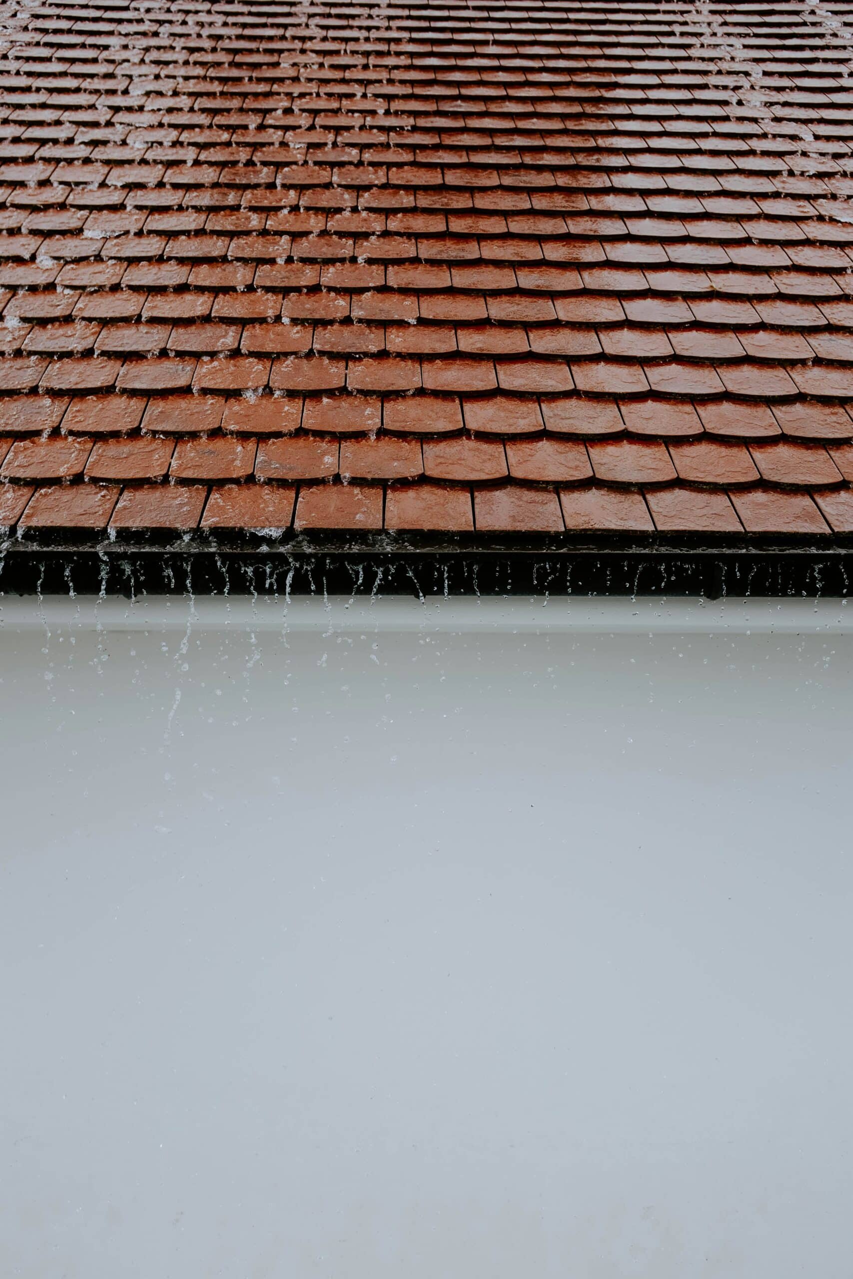 free roof video inspections
