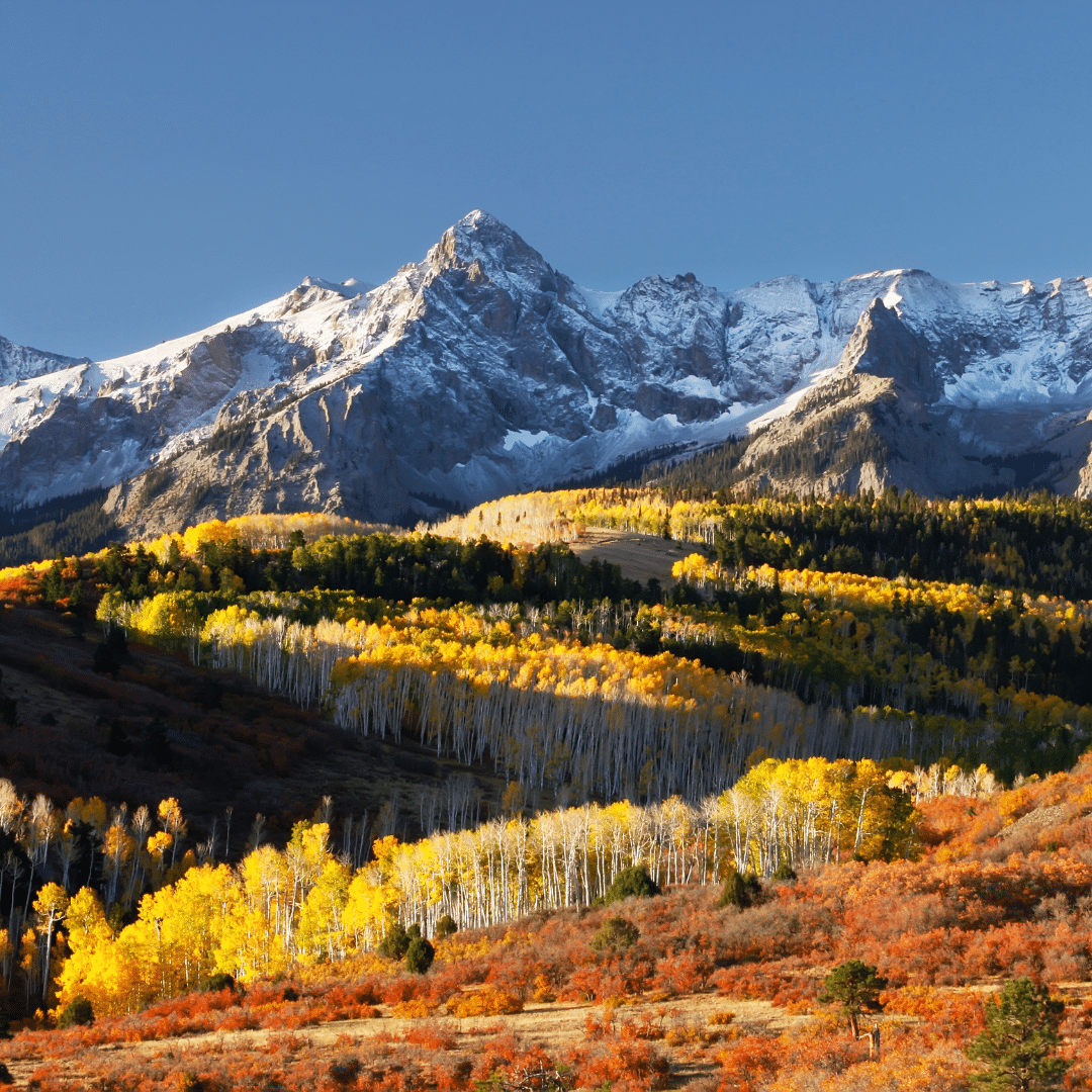 Falcon and Peyton Colorado Service Area-& Surrounding Service Area - Footprint Home Experts