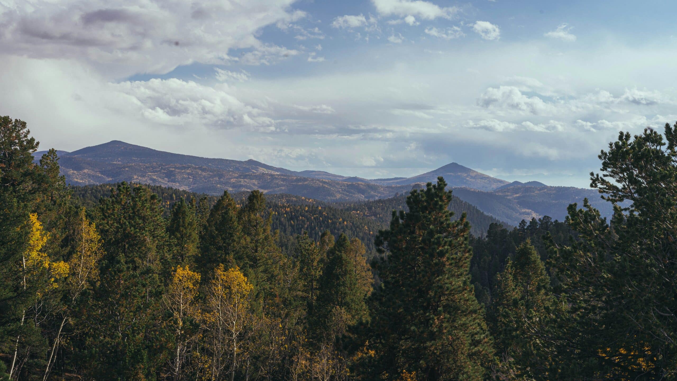 Falcon and Peyton Colorado Service Area-& Surrounding Service Area - Footprint Home Experts
