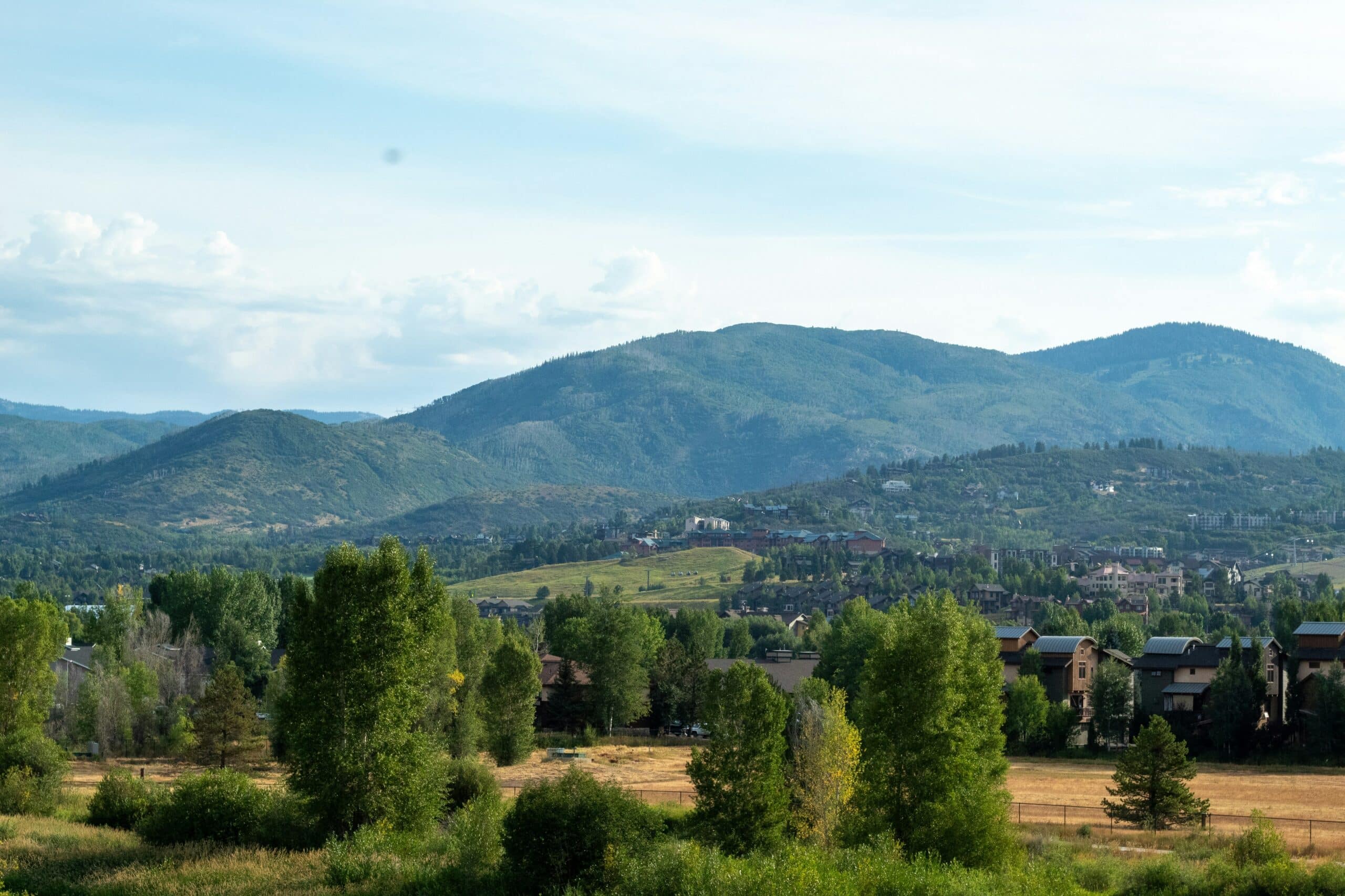 Lone Tree Colorado Service Area - & Surrounding Service Area - Footprint Home Experts